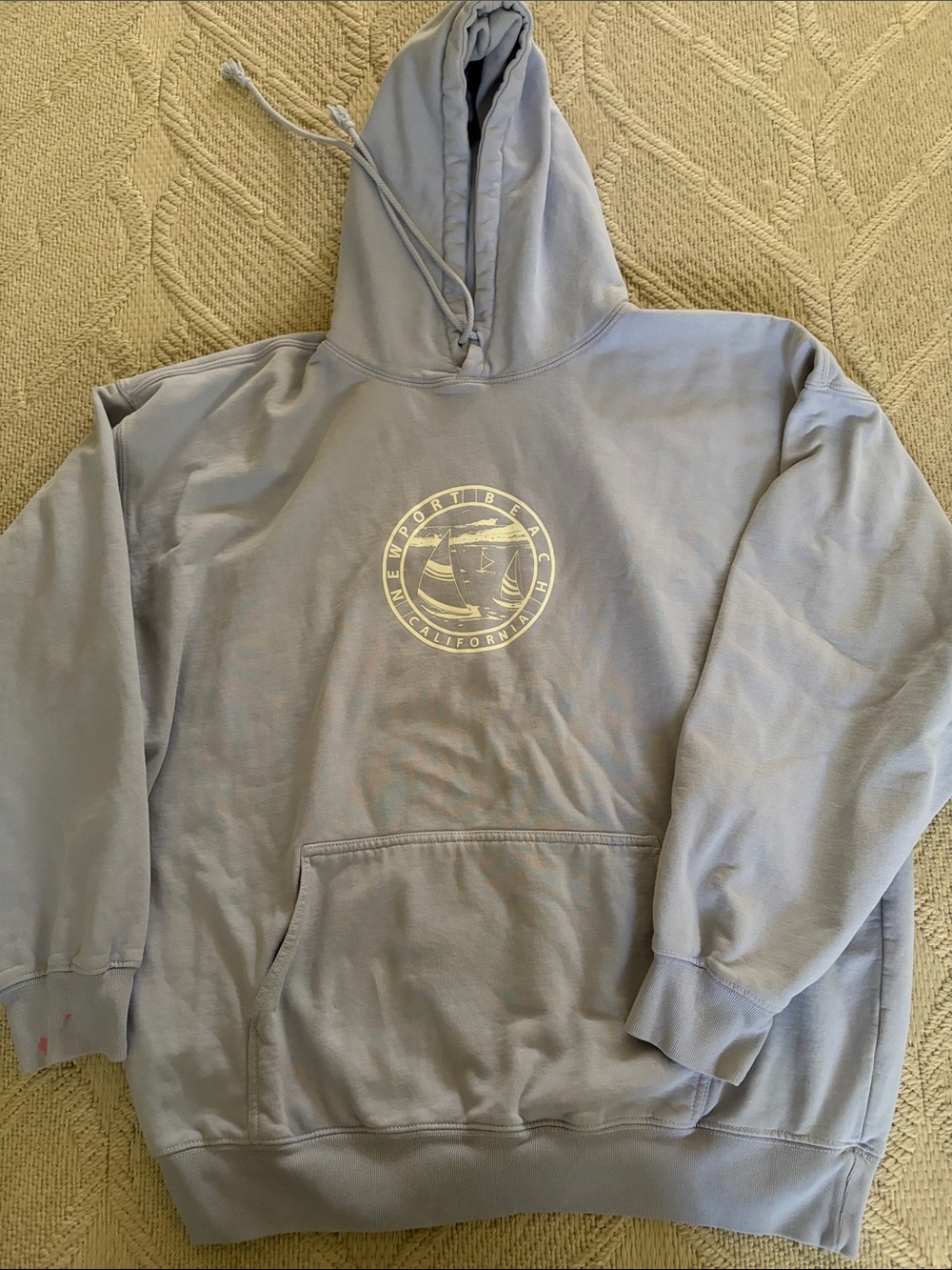Brandy Melville Light Blue Graphic Hoodie